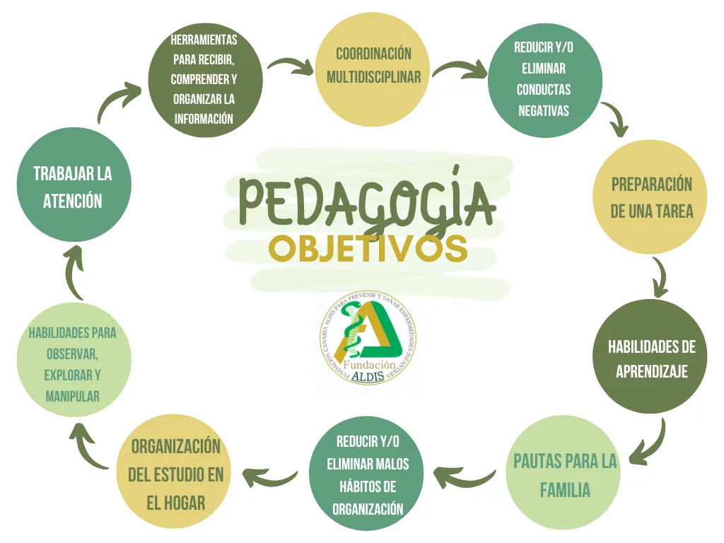Objetivos del servicio de pedagogía en Aldis